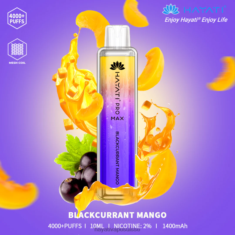 mangue cassis