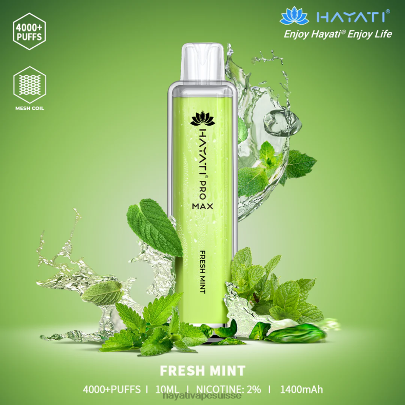menthe fraîche