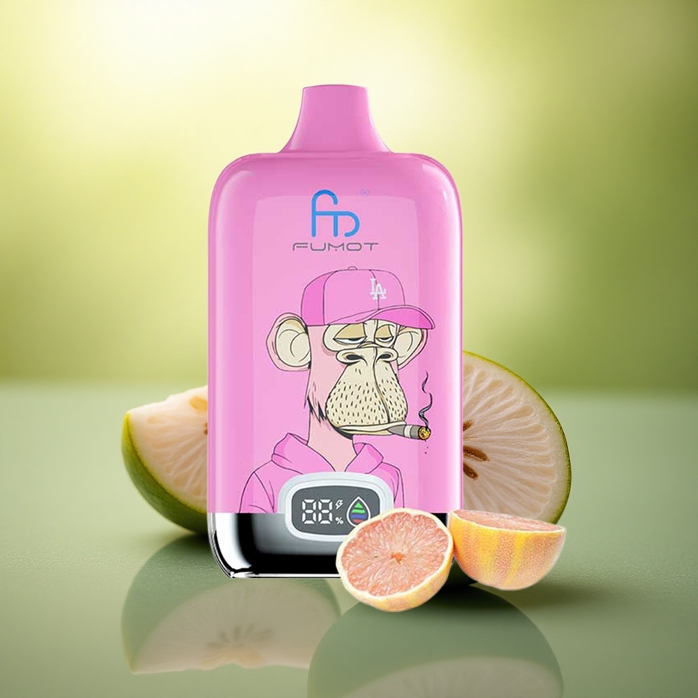 Fumot Tornado Digital Box 12000 Puffs Framboise Myrtille Type-C 550mAh
